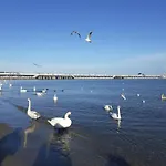 - Plaza W Zasiegu Reki, Promenada Wzdluz Morza Prowadzaca Do Mola, Pyszne Jedzenie W Poblizu - Karlikowska 13b 5 - 3 Min Do Plazy *