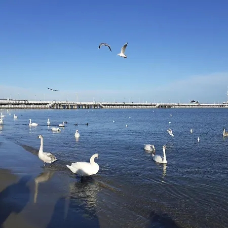 Karlikowska 13b 5 - 3 Min Do Plaży *