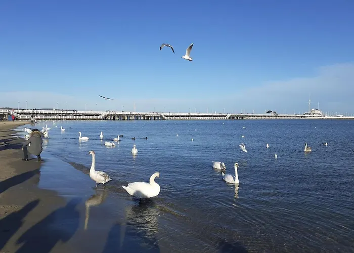 Apartament Sopot - Plaza W Zasiegu Reki, Promenada Wzdluz Morza Prowadzaca Do Mola, Pyszne Jedzenie W Poblizu - Karlikowska 13B 5 - 3 Min Do Plazy *